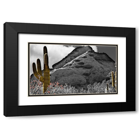Desert View Black Modern Wood Framed Art Print with Double Matting by Simons
