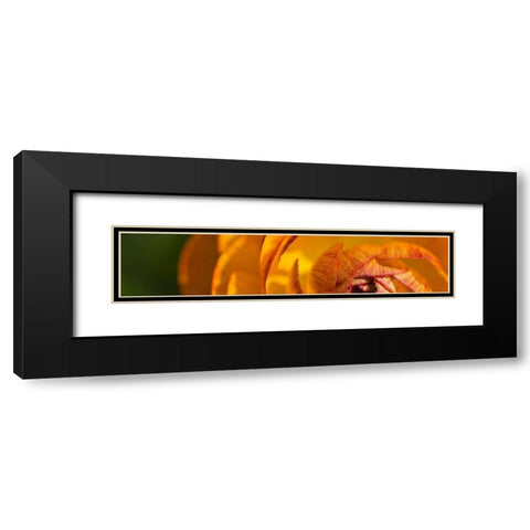 Flower Slice Orange I Black Modern Wood Framed Art Print with Double Matting by Simons