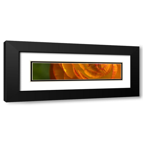 Flower Slice Orange II Black Modern Wood Framed Art Print with Double Matting by Simons