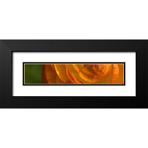 Flower Slice Orange II Black Modern Wood Framed Art Print with Double Matting by Simons