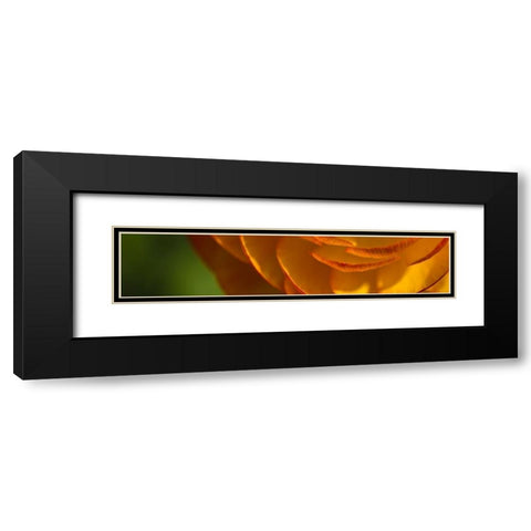 Flower Slice Orange III Black Modern Wood Framed Art Print with Double Matting by Simons