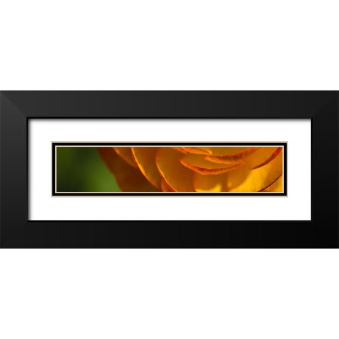 Flower Slice Orange III Black Modern Wood Framed Art Print with Double Matting by Simons