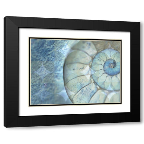 La Conha I Black Modern Wood Framed Art Print with Double Matting by Simons