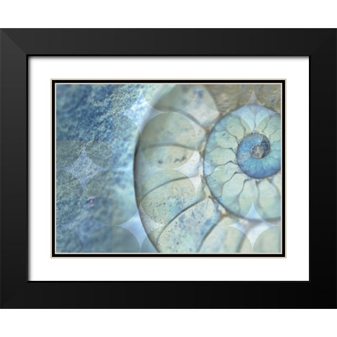 La Conha I Black Modern Wood Framed Art Print with Double Matting by Simons