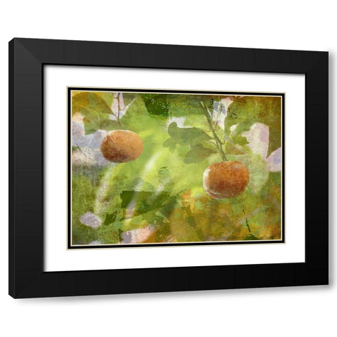 Mandarin Black Modern Wood Framed Art Print with Double Matting by Simons