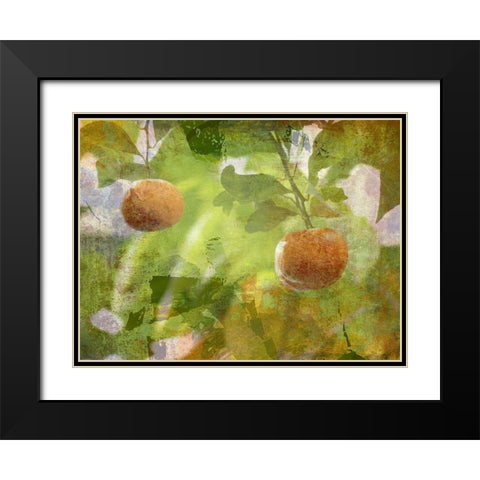Mandarin Black Modern Wood Framed Art Print with Double Matting by Simons