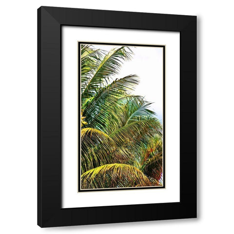 Neon Palm II Black Modern Wood Framed Art Print with Double Matting by Simons