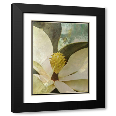 Painted Magnolia Black Modern Wood Framed Art Print with Double Matting by Simons