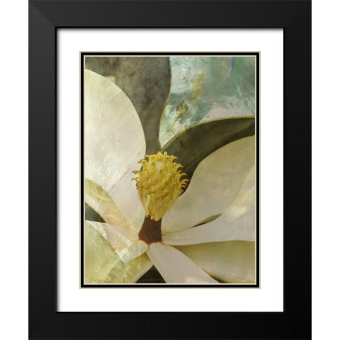 Painted Magnolia Black Modern Wood Framed Art Print with Double Matting by Simons