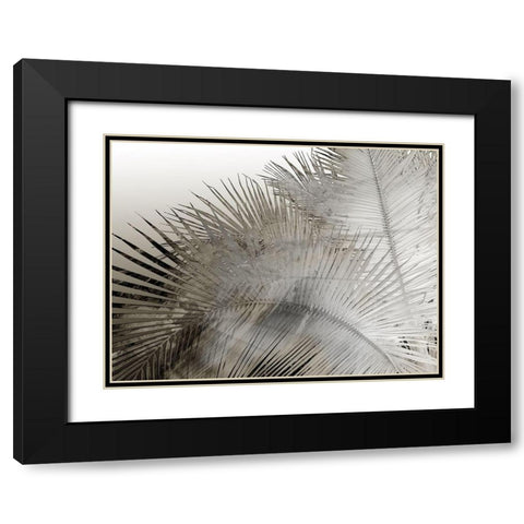 Painted Palm I Black and White Black Modern Wood Framed Art Print with Double Matting by Simons