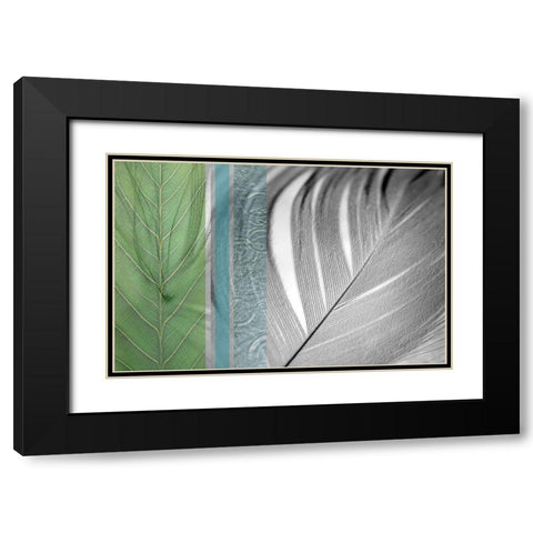 Plumage Cool I Black Modern Wood Framed Art Print with Double Matting by Simons
