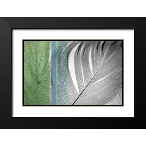 Plumage Cool I Black Modern Wood Framed Art Print with Double Matting by Simons