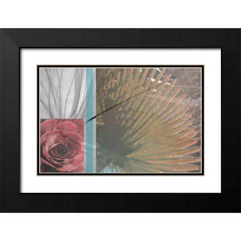 Plumage Warm I Black Modern Wood Framed Art Print with Double Matting by Simons