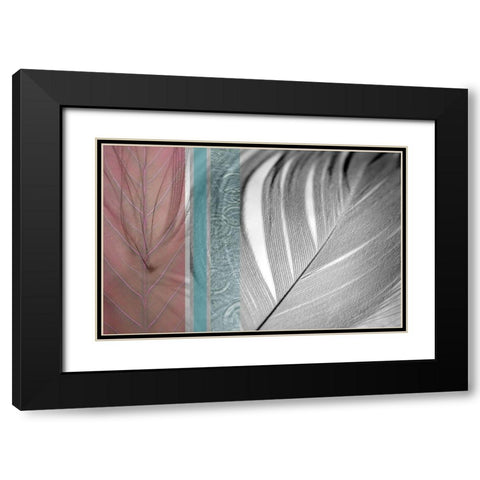 Plumage Warm II Black Modern Wood Framed Art Print with Double Matting by Simons
