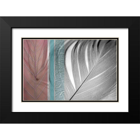 Plumage Warm II Black Modern Wood Framed Art Print with Double Matting by Simons