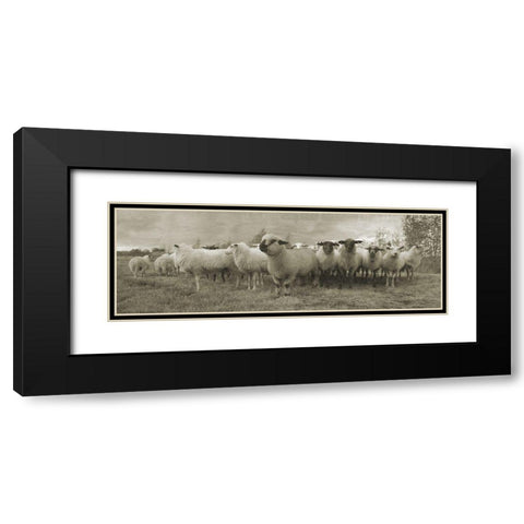 Pasture Graze 2 Black Modern Wood Framed Art Print with Double Matting by Phillip, Jamie