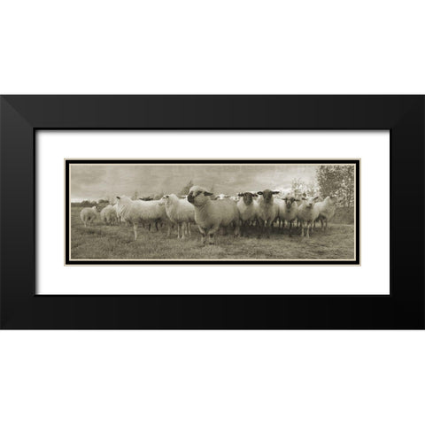 Pasture Graze 2 Black Modern Wood Framed Art Print with Double Matting by Phillip, Jamie
