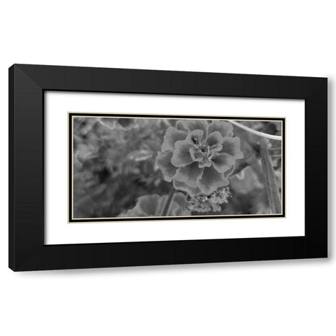 Flow 2 Black Modern Wood Framed Art Print with Double Matting by Phillip, Jamie