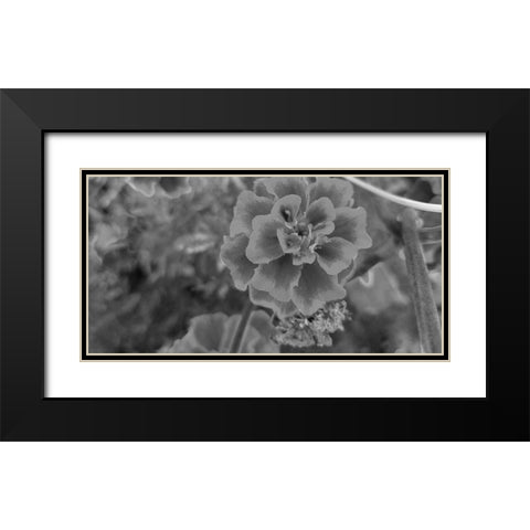 Flow 2 Black Modern Wood Framed Art Print with Double Matting by Phillip, Jamie