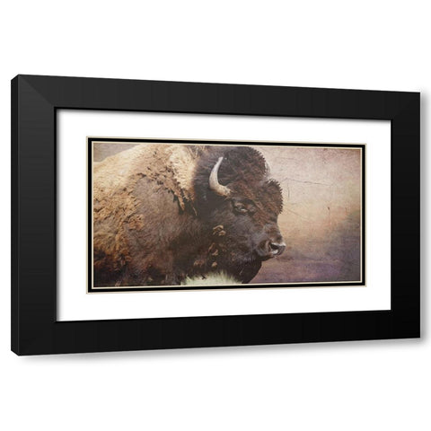 Wild Bison Black Modern Wood Framed Art Print with Double Matting by Phillip, Jamie