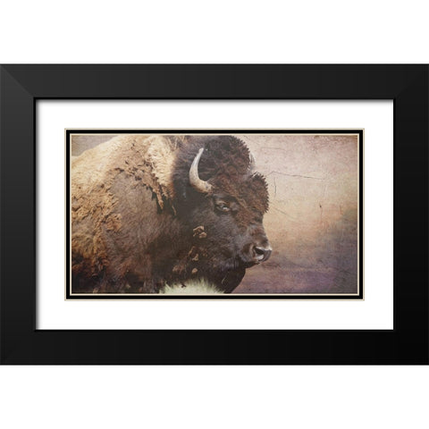 Wild Bison Black Modern Wood Framed Art Print with Double Matting by Phillip, Jamie