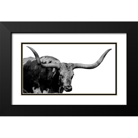 Long Horn Silver Black Modern Wood Framed Art Print with Double Matting by Phillip, Jamie