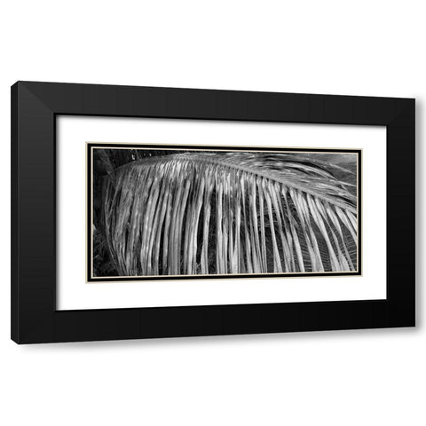 Palm Branch 2 Black Modern Wood Framed Art Print with Double Matting by Phillip, Jamie