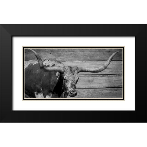 Long Horn Bull Black Modern Wood Framed Art Print with Double Matting by Phillip, Jamie