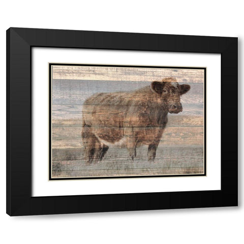 Farm Cow Black Modern Wood Framed Art Print with Double Matting by Phillip, Jamie