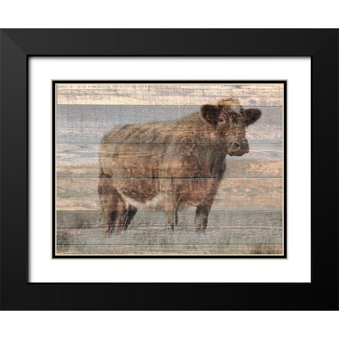 Farm Cow Black Modern Wood Framed Art Print with Double Matting by Phillip, Jamie