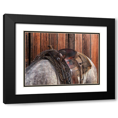 Horse On The Ranch Black Modern Wood Framed Art Print with Double Matting by Phillip, Jamie