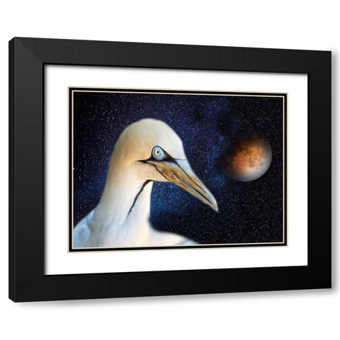 Space Bird Black Modern Wood Framed Art Print with Double Matting by Phillip, Jamie