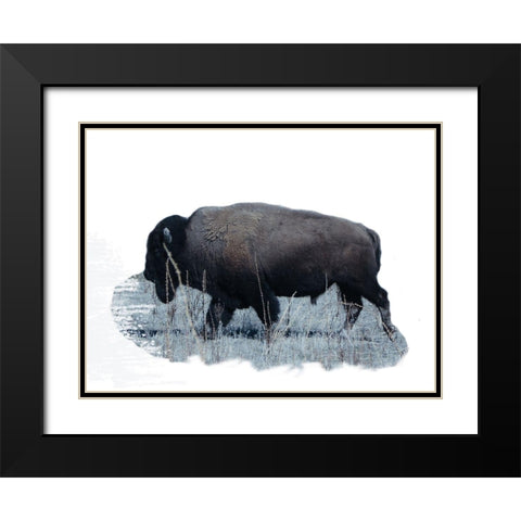Grazing Buffalo Black Modern Wood Framed Art Print with Double Matting by Phillip, Jamie