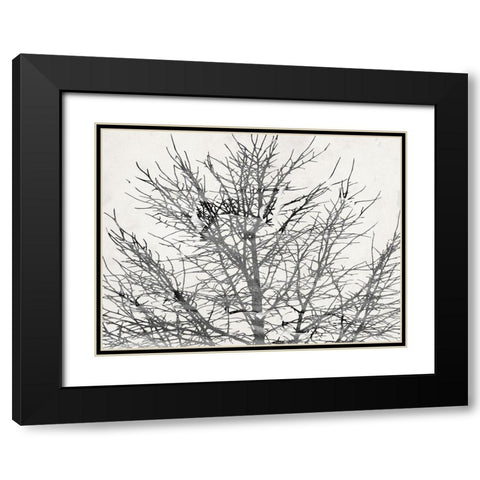Front Door View Black Modern Wood Framed Art Print with Double Matting by Phillip, Jamie