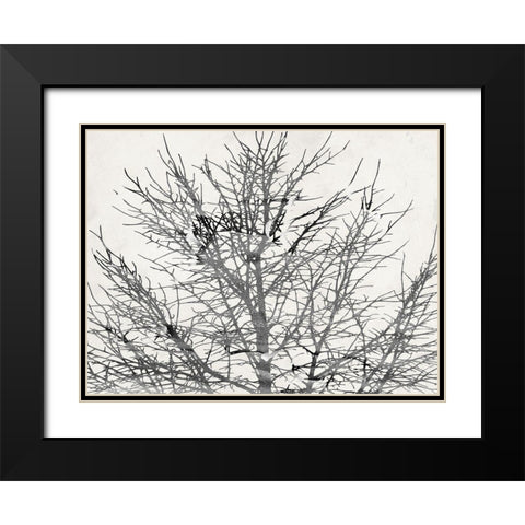 Front Door View Black Modern Wood Framed Art Print with Double Matting by Phillip, Jamie