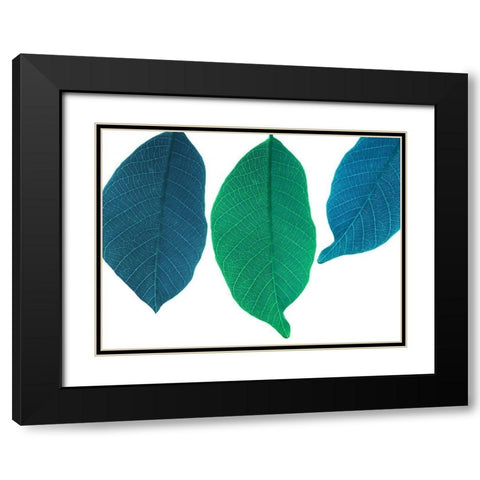 Xrayed Black Modern Wood Framed Art Print with Double Matting by Phillip, Jamie