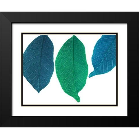 Xrayed Black Modern Wood Framed Art Print with Double Matting by Phillip, Jamie