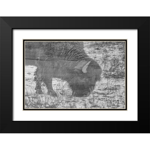 American Buffalo Black Modern Wood Framed Art Print with Double Matting by Phillip, Jamie