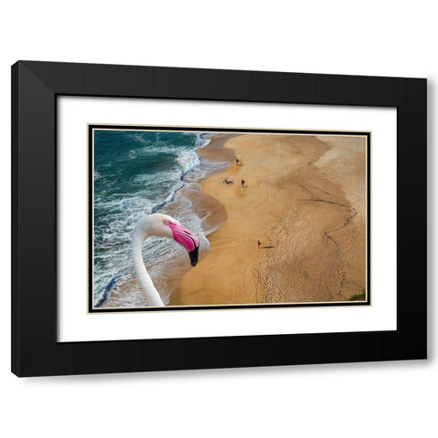 Flamingo Bay Black Modern Wood Framed Art Print with Double Matting by Phillip, Jamie