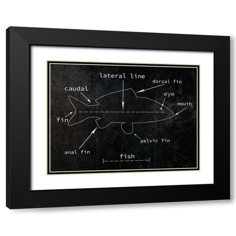 Fish Black Modern Wood Framed Art Print with Double Matting by Phillip, Jamie