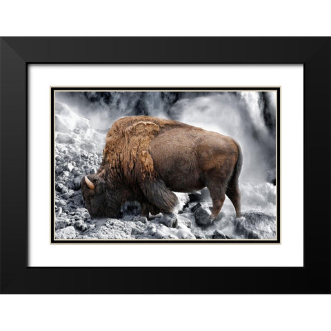 Bison Season 3 Black Modern Wood Framed Art Print with Double Matting by Phillip, Jamie