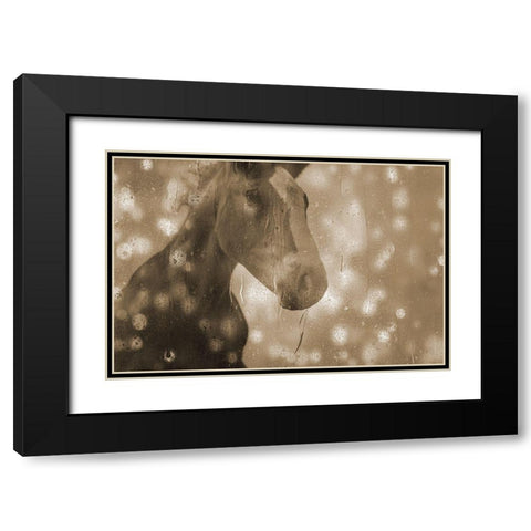 Browney Farm Horse Black Modern Wood Framed Art Print with Double Matting by Phillip, Jamie