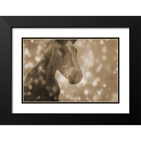 Browney Farm Horse Black Modern Wood Framed Art Print with Double Matting by Phillip, Jamie