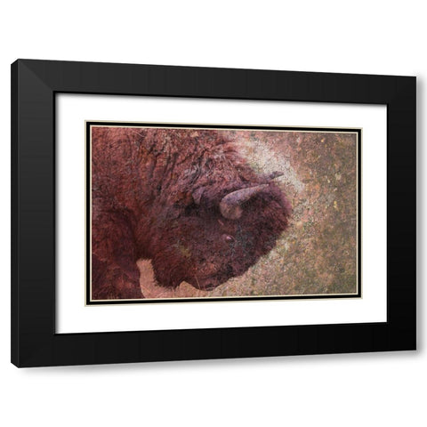 Brown Buffalo Black Modern Wood Framed Art Print with Double Matting by Phillip, Jamie