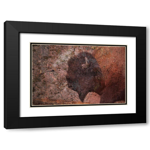 Brown Buffalo 2 Black Modern Wood Framed Art Print with Double Matting by Phillip, Jamie