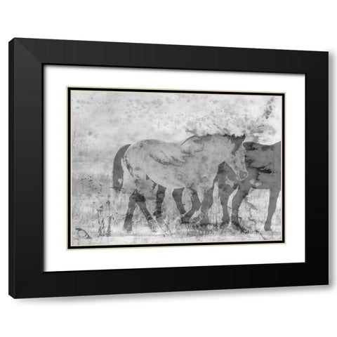 Ranch Horse Black Modern Wood Framed Art Print with Double Matting by Phillip, Jamie