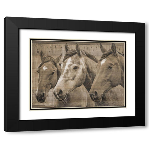 Companion Black Modern Wood Framed Art Print with Double Matting by Phillip, Jamie