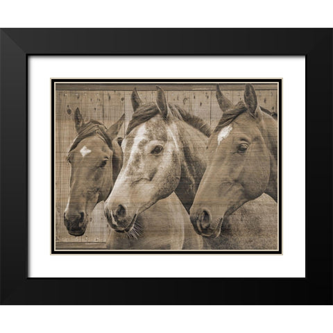 Companion Black Modern Wood Framed Art Print with Double Matting by Phillip, Jamie