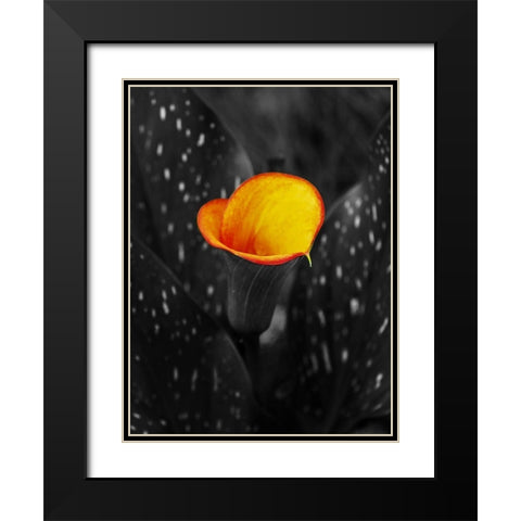 Midnight Glow Black Modern Wood Framed Art Print with Double Matting by Phillip, Jamie