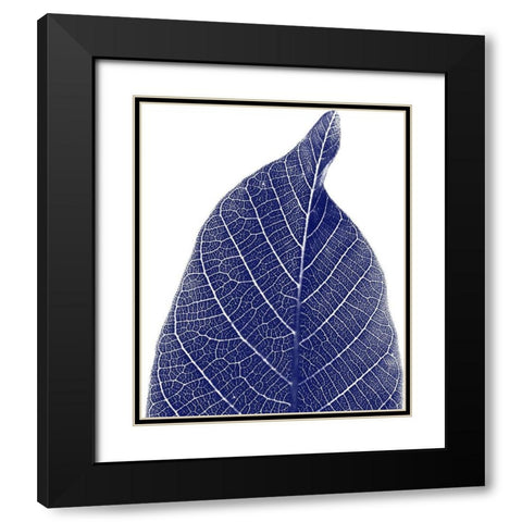Indigo Half 1 Black Modern Wood Framed Art Print with Double Matting by Phillip, Jamie